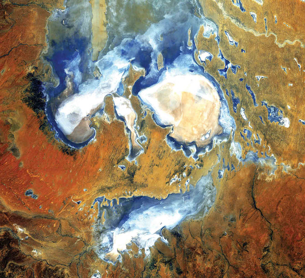 Muismat Lake Eyre, Australië