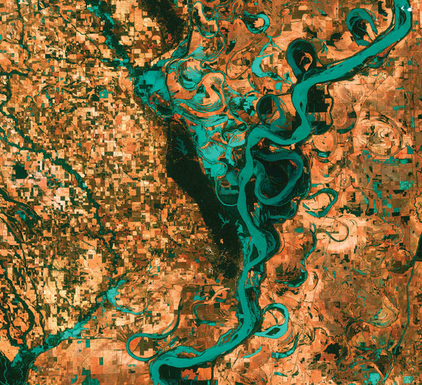 Muismat Mississippi delta, Verenigde Staten