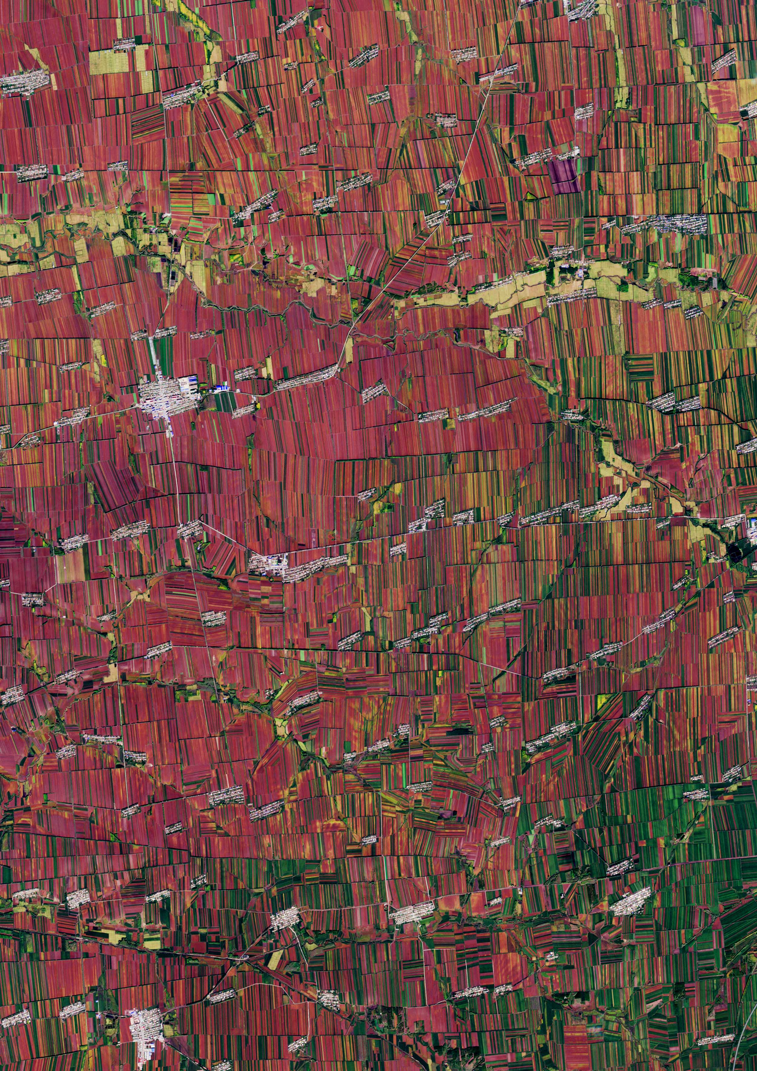 Percelen Satellietfoto van percelen in China op poster en meer - Earth Art