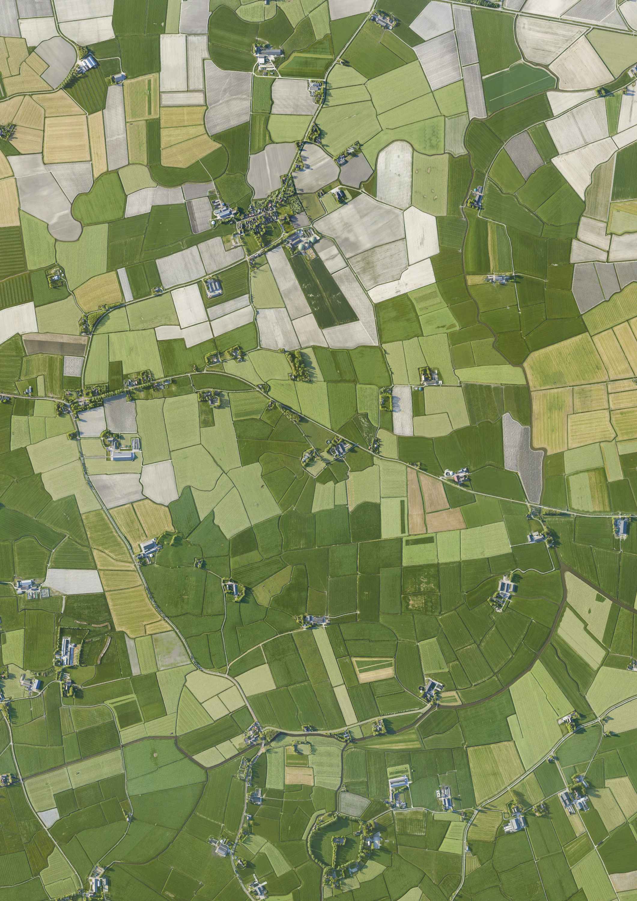 Percelen Luchtfoto percelen Friesland op poster,dibond en meer - Earth Art