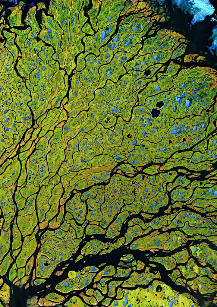 Satellietfoto Lena delta nr1, Rusland
