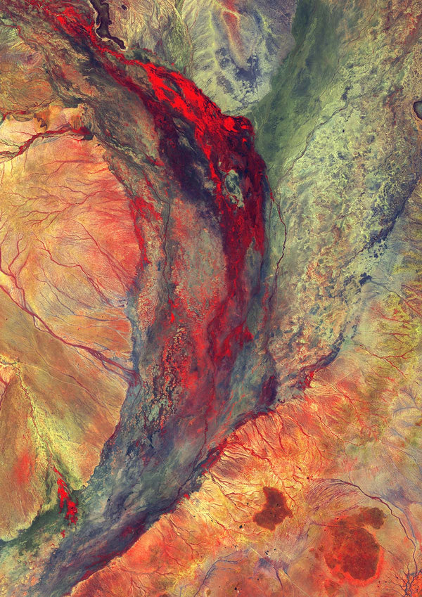Kleurrijk kunstwerk van moeras in Kenia op poster en meer - Earth Art